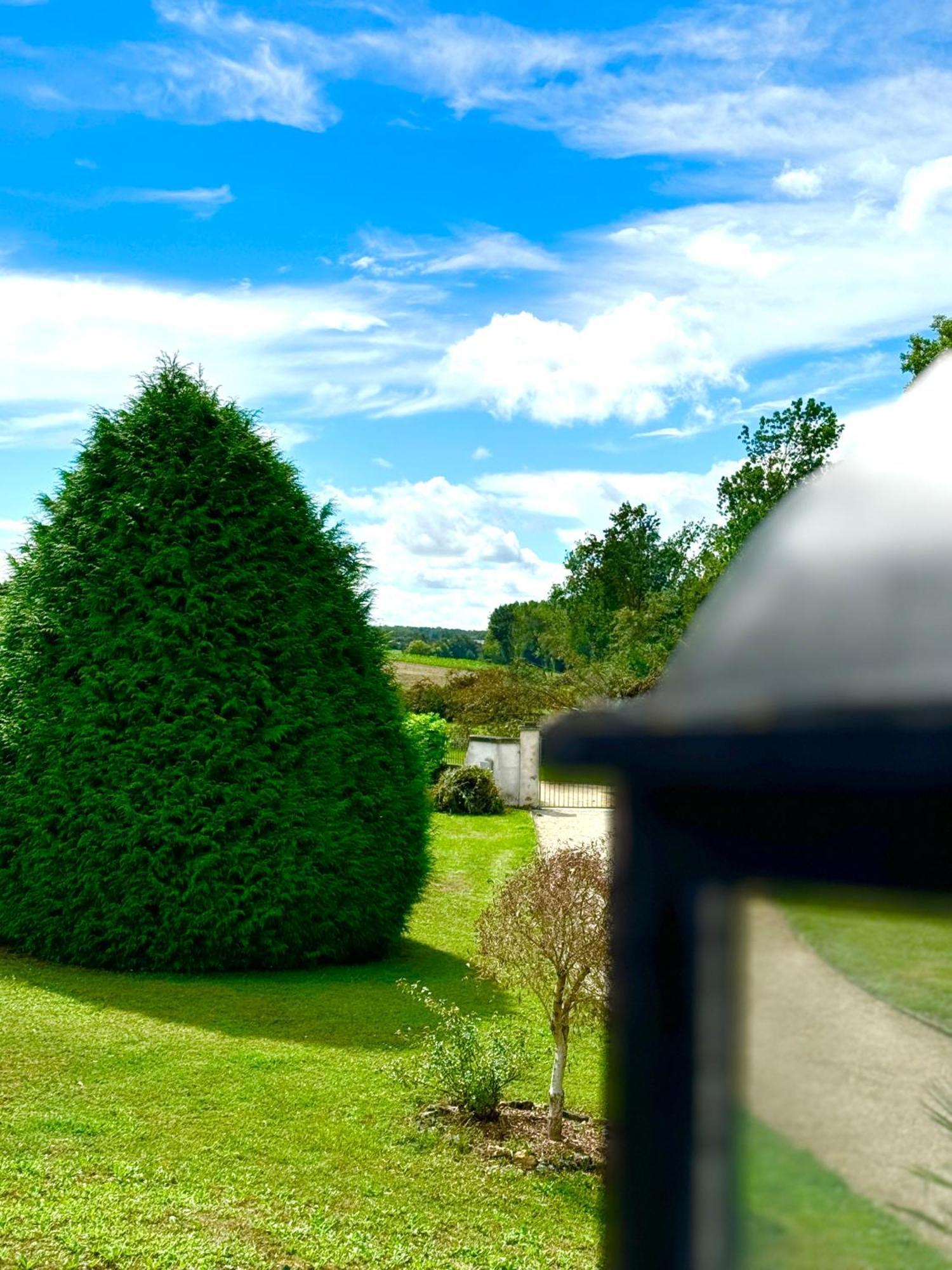 Orbigny Le Moulin D Olivet Bed & Breakfast エクステリア 写真