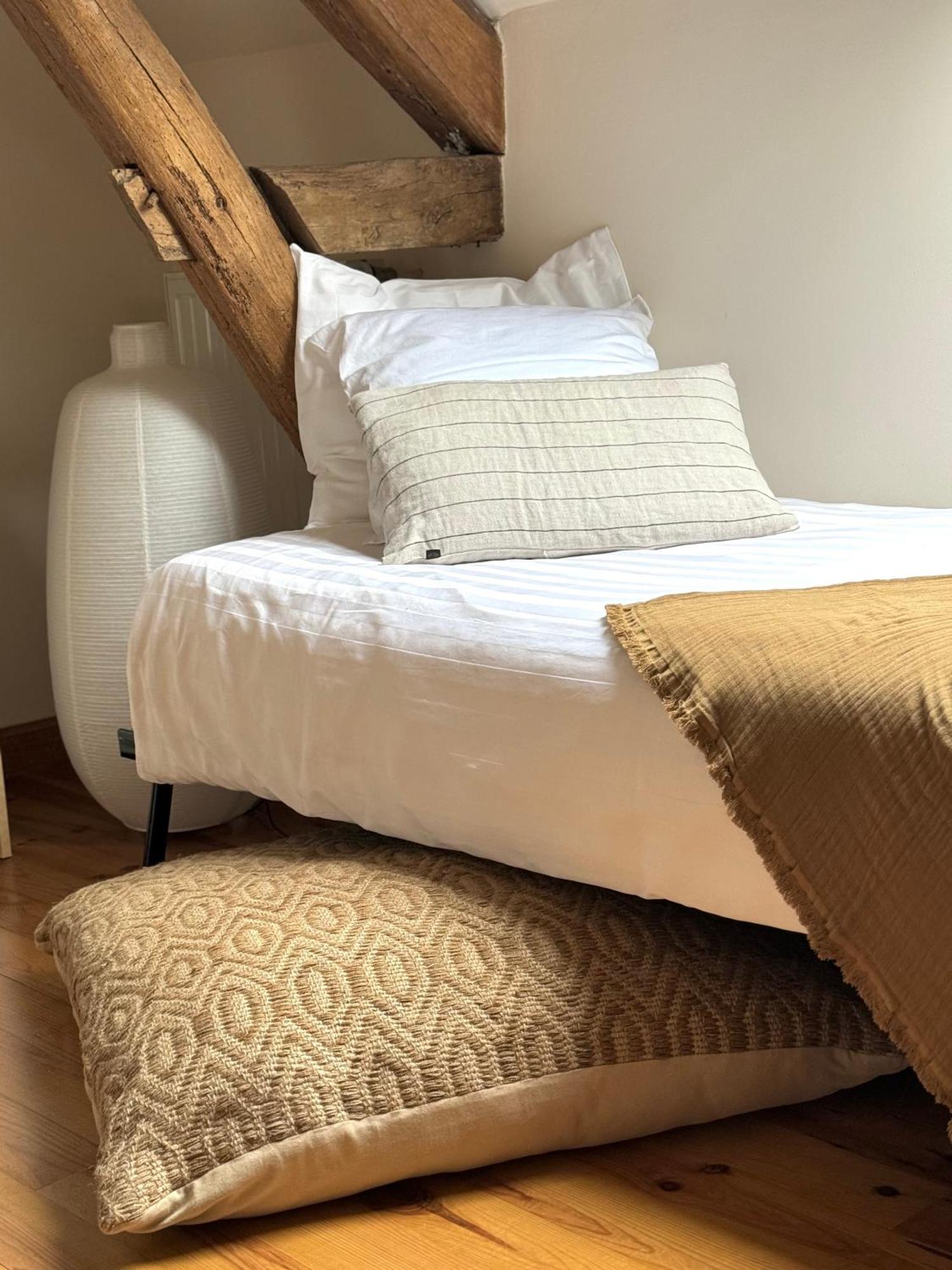 Orbigny Le Moulin D Olivet Bed & Breakfast エクステリア 写真