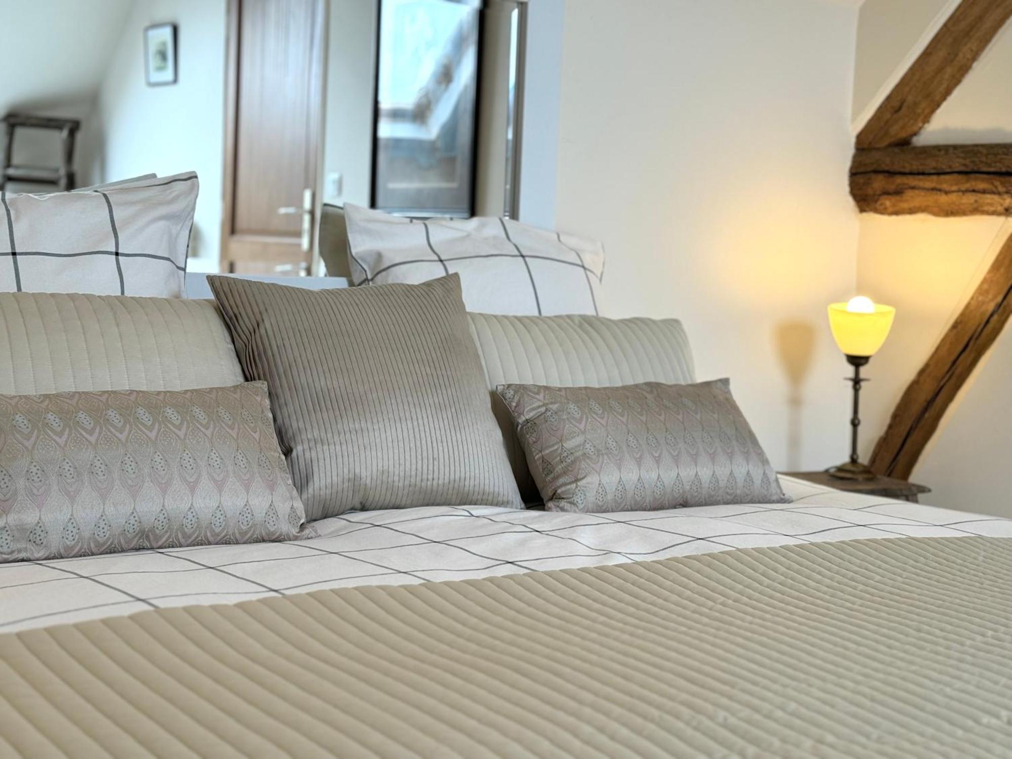 Orbigny Le Moulin D Olivet Bed & Breakfast エクステリア 写真