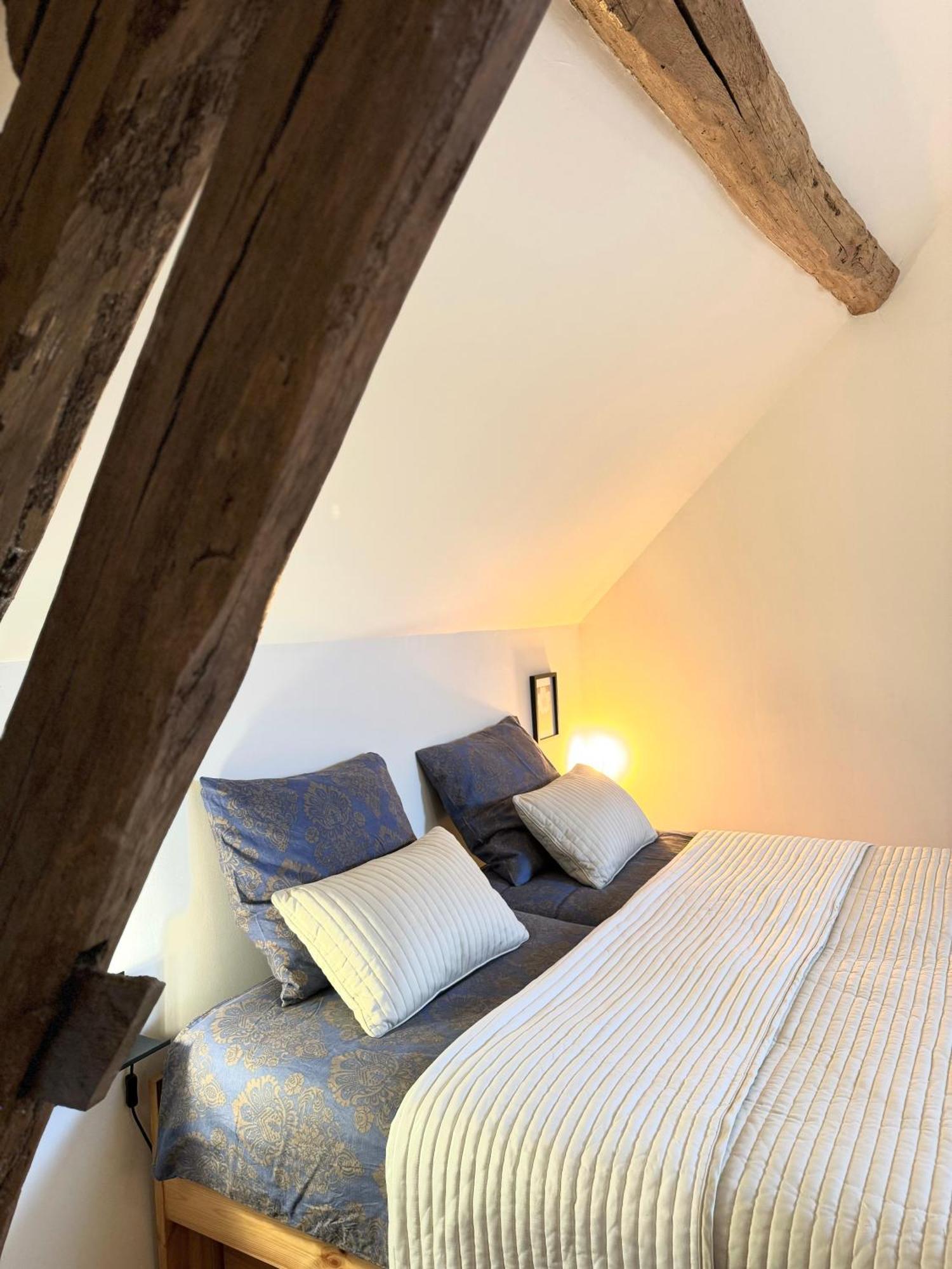 Orbigny Le Moulin D Olivet Bed & Breakfast エクステリア 写真